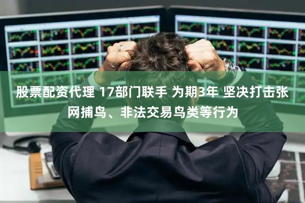 股票配资代理 17部门联手 为期3年 坚决打击张网捕鸟、非法交易鸟类等行为