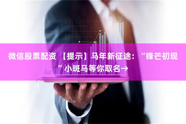 微信股票配资 【提示】马年新征途：“锋芒初现”小斑马等你取名→